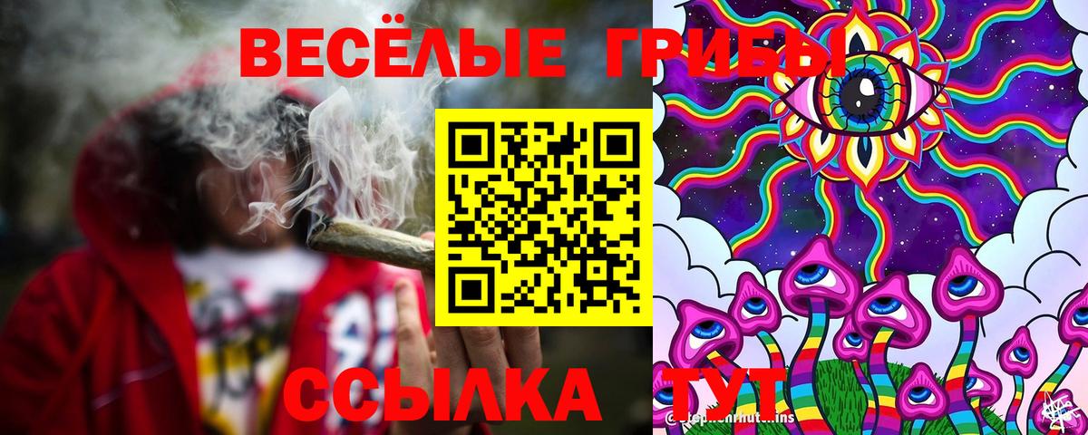 Галлюциногенные грибы Psilocybe  Псилоцибиновые грибы Psilocybe  Вход с VPN  Оренбург 