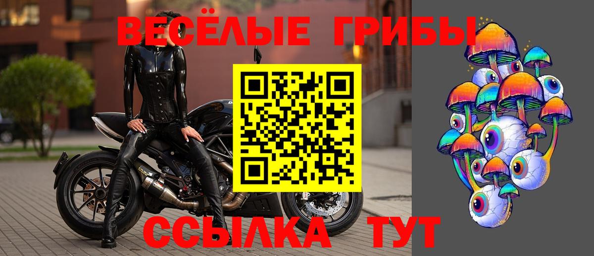 Галлюциногенные грибы Psilocybe Оренбург